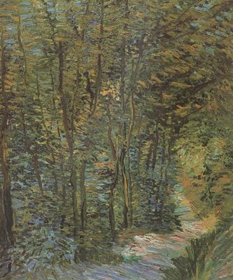 Vincent Van Gogh Path in the Woods (nn04) China oil painting art